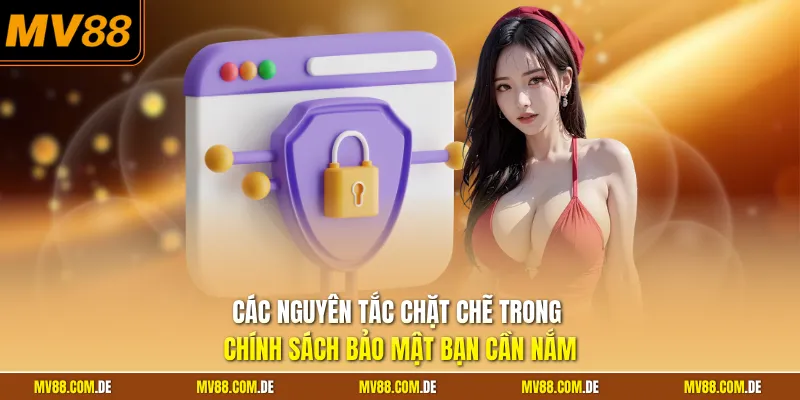 Các nguyên tắc chặt chẽ trong chính sách bảo mật bạn cần nắm
