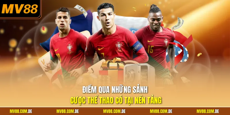 Điểm qua những sảnh cược thể thao có tại nền tảng