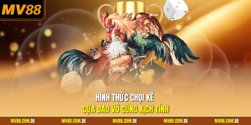 Hình thức chọi kê cựa dao vô cùng kịch tính