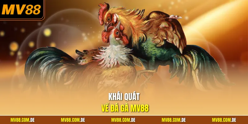 Khái quát về đá gà MV88