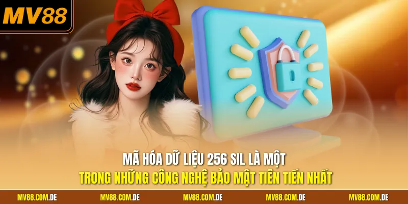 Mã hóa dữ liệu 256 SIL là một trong những công nghệ bảo mật tiên tiến nhất